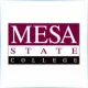 Colorado Mesa University - Flight School Ranking